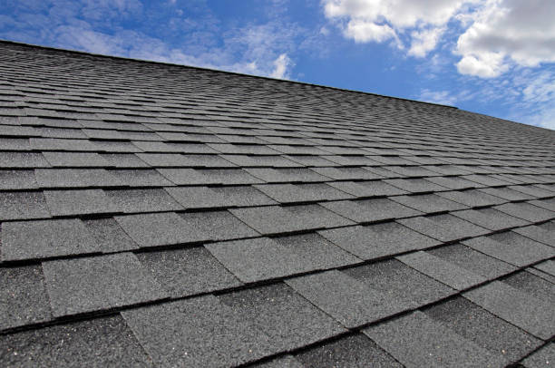 Steel Roofing in Town N Country, FL