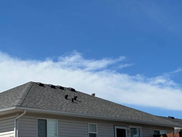 Trusted Town N Country, FL Roofing Service Experts